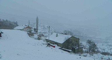 Posof'ta kar yağışı ve sis etkili oluyor