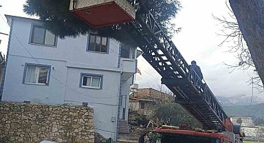 Yayladağı'nda ağaçta mahsur kalan kediyi itfaiye kurtardı