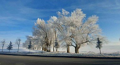 Erzurum Ovası eksi 24 ile buz kesti