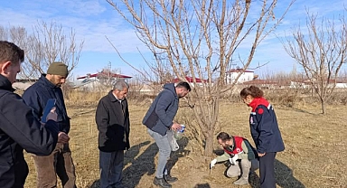 Iğdır’da Tarla Faresiyle Mücadele Seferberliği Başlatıldı