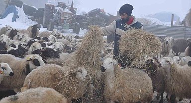 Kars'ta küçükbaş hayvancılık yapanlar çoban bulmakta zorluk çekiyor