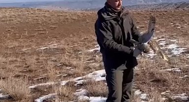 Kulaklı orman baykuşu doğaya salındı