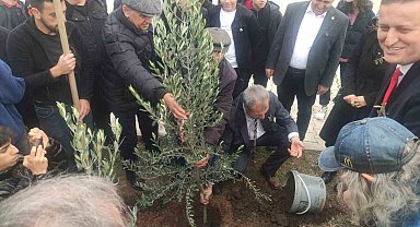 Meslek lisesinin 63. yaşında 63 adet zeytin ağacı sonsuzluğa kök saldı