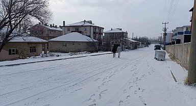 Muradiye'de kar yağışı