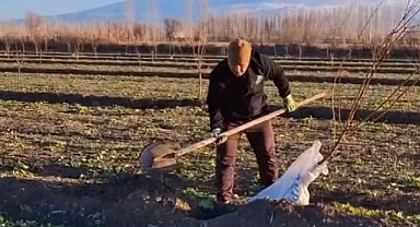 Orman Müdürü Taner Tazegün 2025 Yılının İlk Fidanlarını Toprakla Buluşturdu