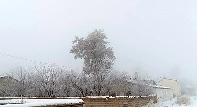 Özalp dondu, ağaçlar kırağı tuttu