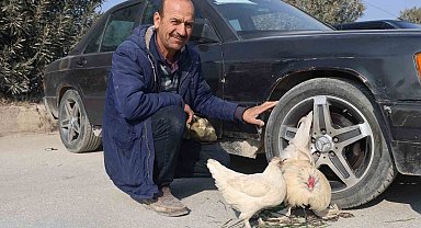 Tekere bağladığı horozuyla, tavuğunu arabasıyla birlikte satışa çıkardı