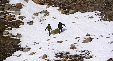 Uzmanlar uyardı: "Yaban hayvanlarına bilinçsiz yem bırakmayın"