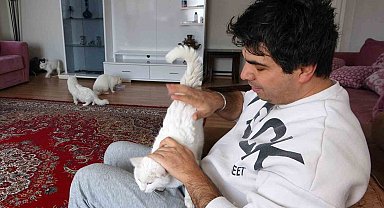 Van kedilerinin neslini kurtarmak için evinin kapılarını açtı