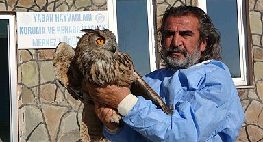 Van'da 2024 yılında 500 yaban hayvanı tedavi edildi