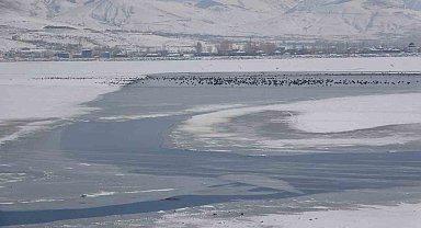 Van'da Sıhke Gölü buz tuttu
