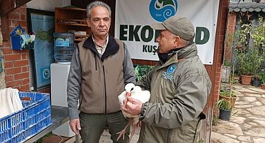 Aydın'da soğuktan etkilenen 'Garip' adlı leylek tedavi altına alındı