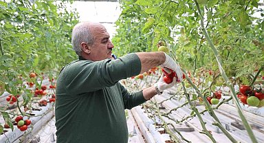 Aziziye'nin termal seralarında yeni dönem