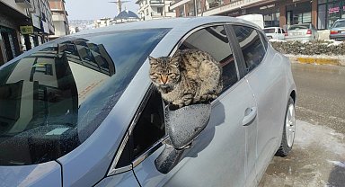 Çekerek'te kartpostallık kar manzaraları oluştu