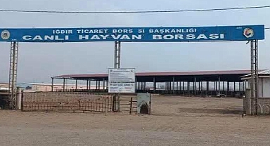 Iğdır’da Şap Hastalığı Alarmı: Hayvan Pazarı Geçici Olarak Kapatıldı