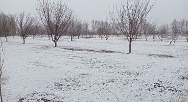 Iğdır'da Yağan Kar Çiftçileri Mutlu Etti