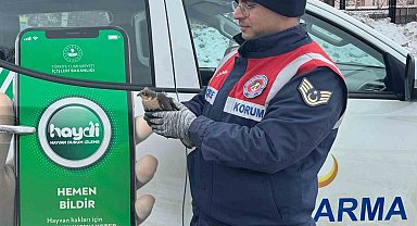 Jandarmadan atmacaya şefkat eli uzandı