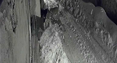 Aç kurt köye indi, köpeğe saldırdı