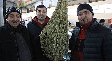 Amasya'da çiçek bamyanın fiyatı gram altını geçti, kilosu 3 bin 500 TL'den satılıyor