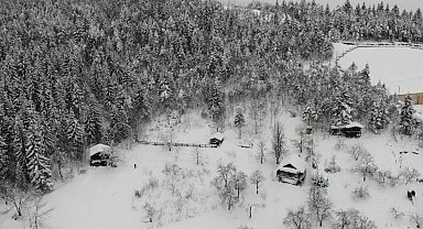 Artvin'de zorlu kış şartlarında boğa bakımı güçleşiyor
