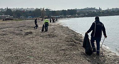 Didim'de sahil hattı temizlendi