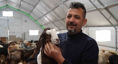 Emekli memur şehir hayatını bıraktı, köyünde hayvancılığa başladı