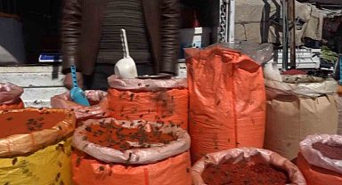 Erciş'te bal arıları baharatçıya akın etti