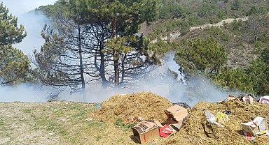 Gediz'deki orman yangını kontrol altına alındı