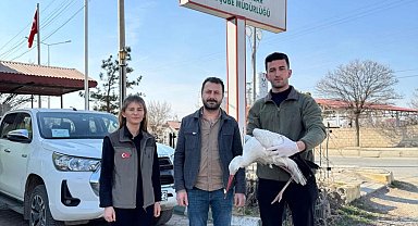 Göç yolunda bitkin düşen leylek tedavi altına alındı