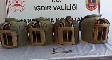 Iğdır'da kınalı keklik avcılarına 402 bin 825 lira ceza