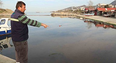 Liman girişi kumla doldu, balıkçılar mahsur kaldı