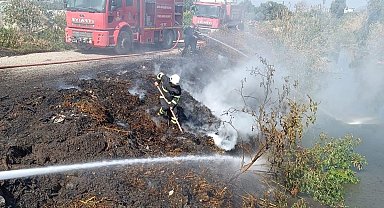 Samandağ'da kamışlık alanda yangın çıktı