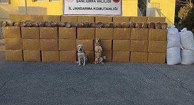 Şanlıurfa'da kaçak sigara ve tütün ele geçirildi