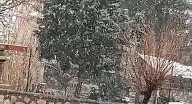 Siirt'te mart ayında kar sürprizi