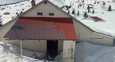 Sis Dağı Yaylası'nda çığ faciası sonrası bu kez de ayı faciası yaşanıyor