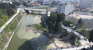 Suyun renginin değiştiği Asi Nehri'nde tedirgin eden balık ölümleri