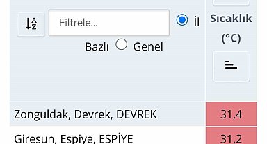 Türkiye'de en yüksek sıcaklık Zonguldak'ta ölçüldü