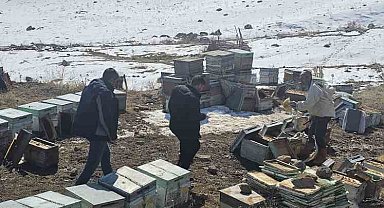 Van'da 100 kovan arı telef oldu