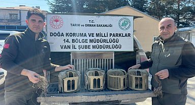 Van'da keklik avlayan 3 kişiye 93 bin lira para cezası uygulanacak