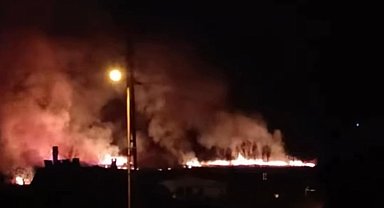 Van'da sazlık alanda yangın