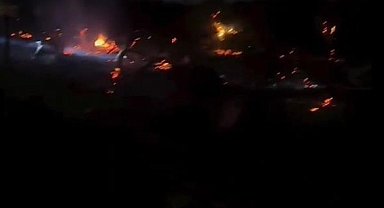 Yalova'da orman yangını