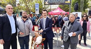 Tuzluca’da 6. Buzağı, Oğlak ve Kuzu Güzellik Yarışması Büyük İlgi Gördü