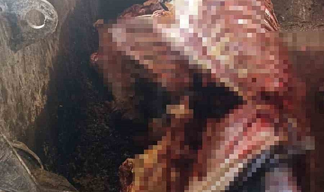 Adana'da 2,5 ton at eti ele geçirildi