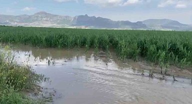 Adana'da şiddetli yağmur ve dolu, tarım ürünlerine zarar verdi