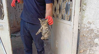 Aracın motoruna sıkışan yavru kedi kurtarıldı