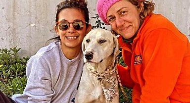 Depremde kurtarılan köpek, Datça'daki yeni hayatına devam ediyor