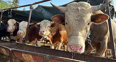Erzincan'da kurban kesim yerleri açıklandı