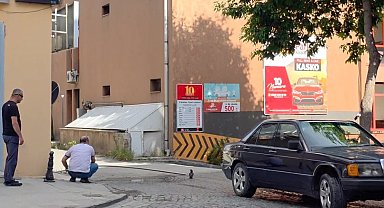 Erzincan'da yavru kargayı vatandaşlar kurtardı