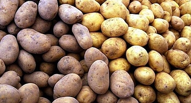 Iğdır’da Patates 30 TL Oldu.