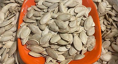 Kabak çekirdeğine "Salmonella", zencefile "Bacillus cereus" nasıl bulaşıyor